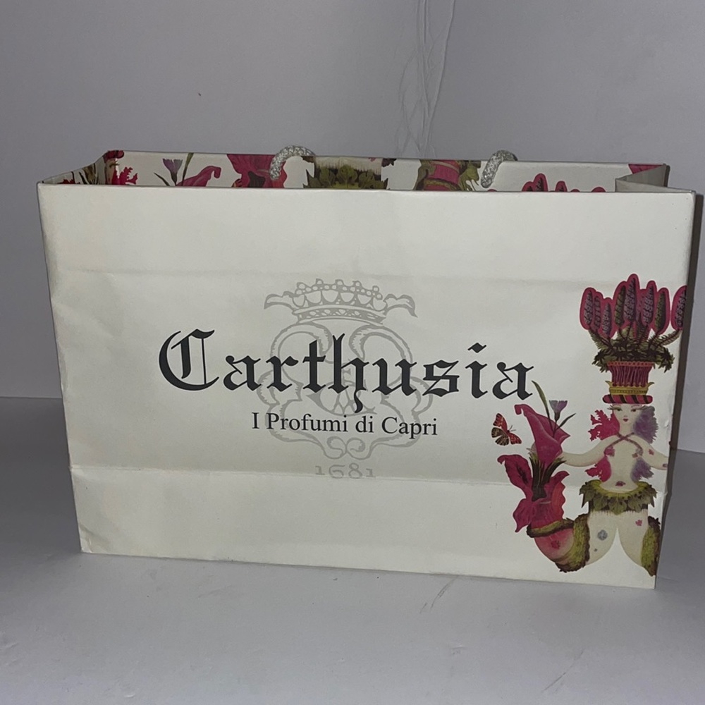 Carthusia paper and cotton handle tote bag. EUC
